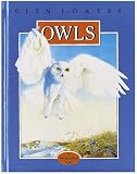 Owls (North American Wild Life)
