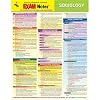EXAMNotes for Sociology (EXAMNotes)