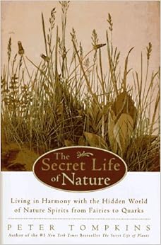 The hidden secrets of nature essay 07 picture