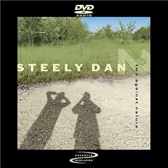 Steely Dan - Two Against Nature (DVD Audio)