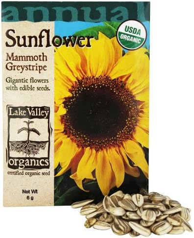 Lake Valley Seed - Organic Sunflower Mammoth Greystripe Seeds - 6 Grams