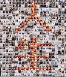 ジンセイ by BARGAINS (2001-02-07)