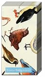 Boston International Emma Bridgewater British Birds 4-ply Pocket Tissues, 10-Count (Pack of 15)