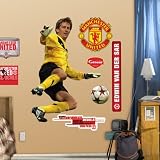 Manchester United Edwin Van der Sar Wall Graphic