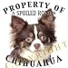 chihuahua15  - Chihuahua LONGHAIR Mousepad Dog Mouse Pad Property Of