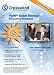 PgMP Exam Review: Processes Placemat