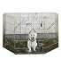 K - 9 Keeper Exercise Pen With Door 24 Gold Zinc