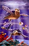 Sea Turtles Beach/Bath Towel #40