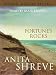 Fortune's Rocks (Audio Cassette)