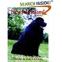Newfoundlands Today