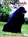 Book Newfoundlands Today