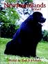 Newfoundlands Today
