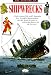 Book Shipwrecks (History Series)