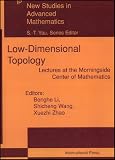 Low-Dimensional Topology: Lectures at the Morningside Center of Mathematics (New Studies in Advanced Mathematics)