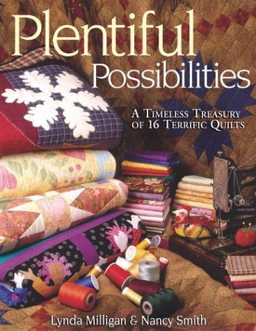 Plentiful Possibilities: A Timeless Treasury of 16 Terrific Quilts Paperback - October 1, 2003