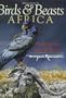 Birds & Beasts Africa: Observations of a Wildlife Artist