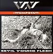 Eevil Young Flesh