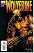 Search : Wolverine #61 : Soul Survivor (Marvel Comics)