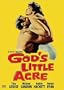 God's Little Acre