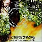 Verw�stung/Invoke the Dark Age