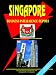 Singapore Business Intelligence Report