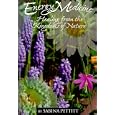 Energy Medicine by Sabina Pettitt