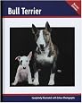 Bull Terrier (Dog Breed Book)
