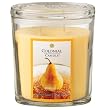 Colonial Candle Golden Pear 22 Oz Jar Candle