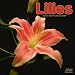 Lilies 2009 Wall Calendar 12 X 12