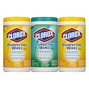 Clorox Disinfecting Wipes Value Pack, Scented, 225 Count