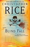 Blind Fall: A Novel