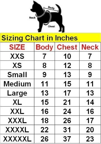 Pet Clothes I'M SEXY AND I KNOW IT Dog T-Shirt - All Sizes (XL - Extra Large)