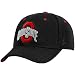 Zephyr Ohio State Buckeyes Black Fadeout II Fitted Hat