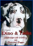 Dino & Tasha - Erlebnisse und Erfahrungen mit Deutschen Doggen