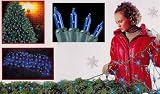 4' x 6' Blue Mini Net Style Christmas Lights - Green Wire