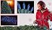 4' x 6' Blue Mini Net Style Christmas Lights - Green Wire
