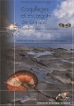 Coquillages et escargots de Guyane