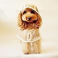 CUPET&reg; Pet Raincoat, Waterproof Dog Puppy Coat Dog Poodle Pet Transparent Raincoat Rainwear Clothes Dress (M)