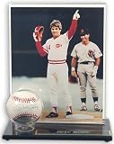 Acrylic Single Baseball Display Case with Photo Holder