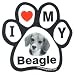 Beagle Paw Magnet (Black/White, 6in)