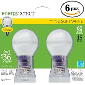 GE 74725-6 15-Watt Energy-Smart Covered Glass CFL Light Bulbs, 60-Watt Output, 6-Pack