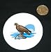 3 button / pin printed with aquila, prey, bird, hawk, of, golden, eagle, genus, chrysaetos, birds
