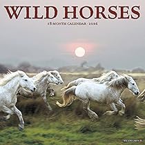 2016 Wild Horses Wall Calendar (Multilingual Edition)