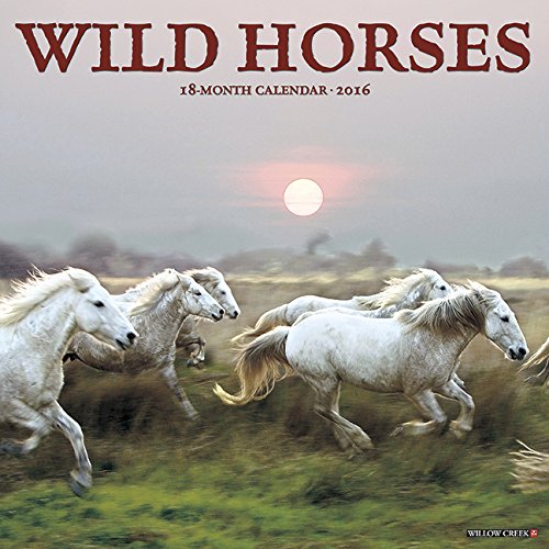 2016 Wild Horses Wall Calendar (Multilingual Edition)