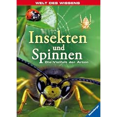 Online Bestellung