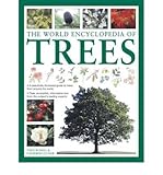The world encyclopedia of trees