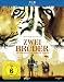 Zwei Brüder [Edizione: Germania]