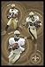 New Orleans Saints (Joe Horn, Deuce McAllister, Aaron Brooks) Sports White Wood-Mounted Poster Print - 24