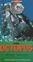 Animal Families: The Octopus- The Crab - The Crayfish [VHS]
