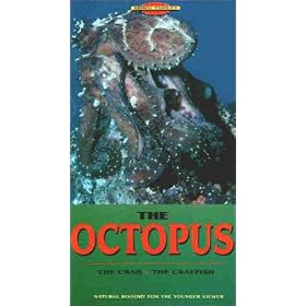 Animal Families: The Octopus- The Crab - The Crayfish [VHS]